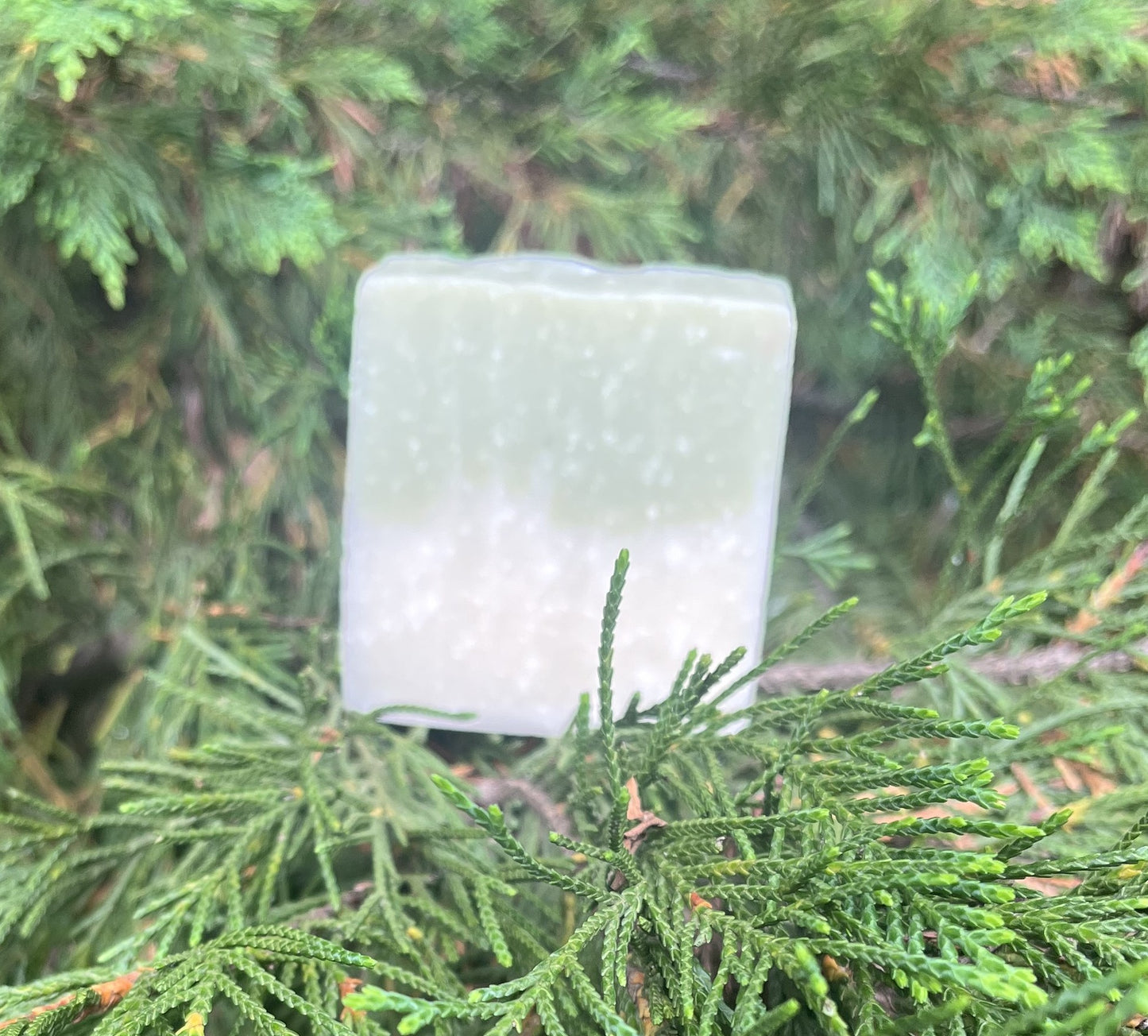 Mountain Man Wintergreen Soap