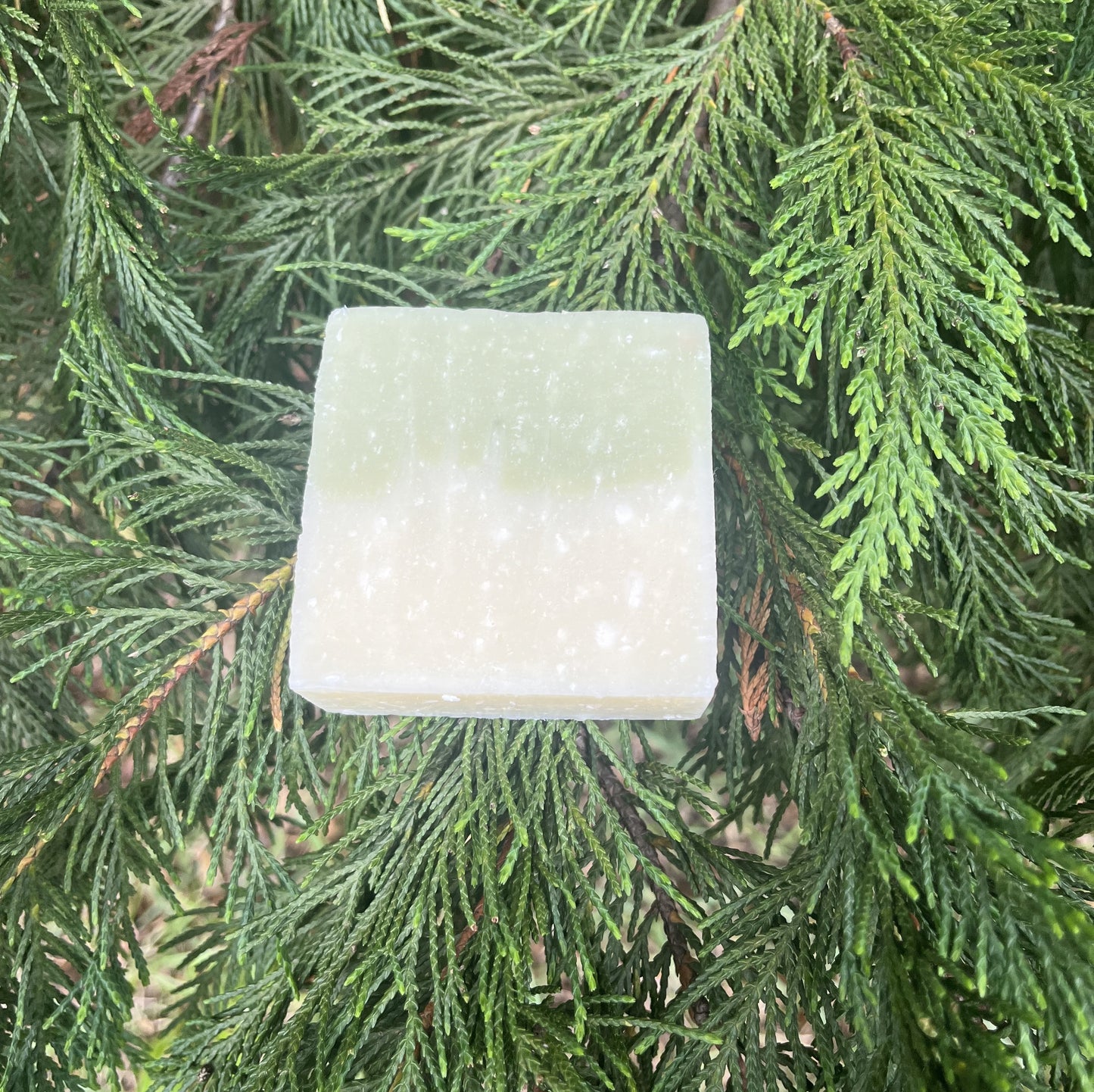 Mountain Man Wintergreen Soap