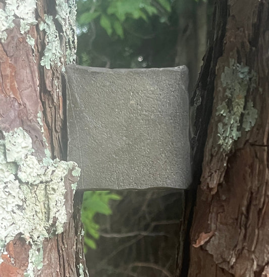 PawPaw’s Pine Tar Soap