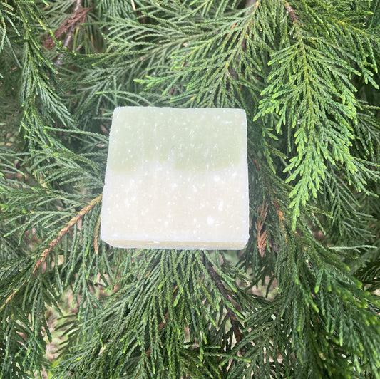 Mountain Man Wintergreen Soap